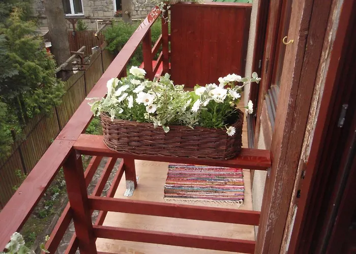 Waclawa ザコパネ