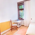 Wacława *
